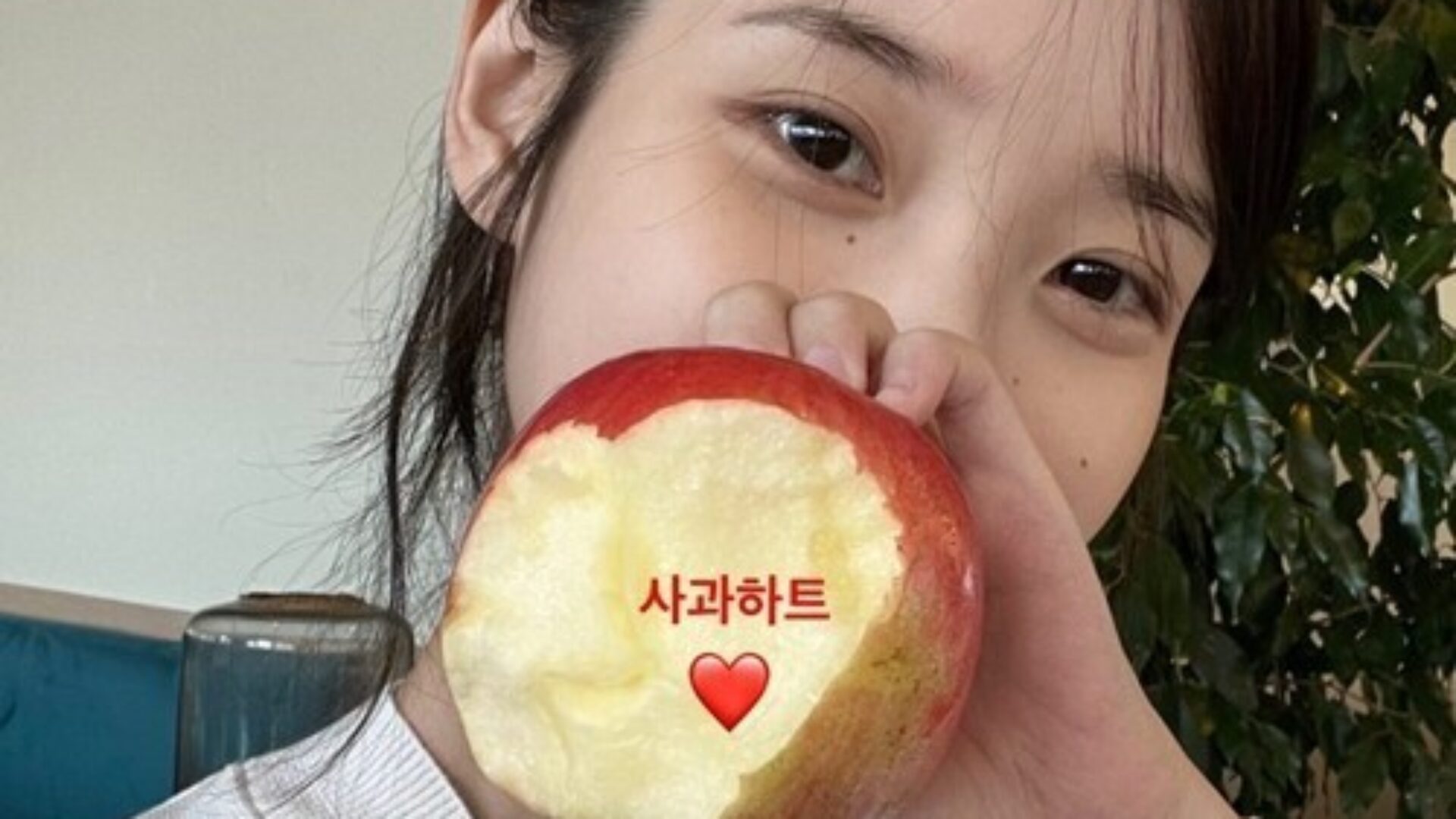 매일 아침 <b>애플 사이다 비니거</b> 한 잔의 엄청난 효과