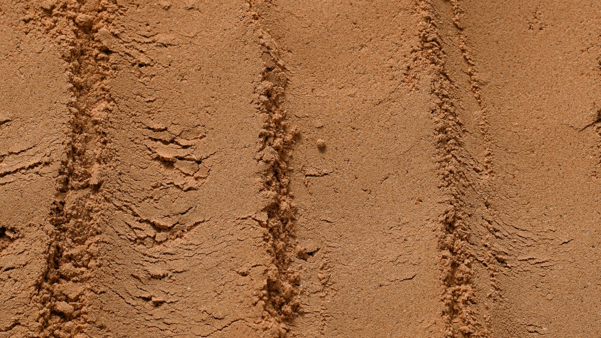 달콤한 데다 두뇌, 심장, 다이어트에도 좋은 '신들의 음식' - 뉴스 썸네일 이미지