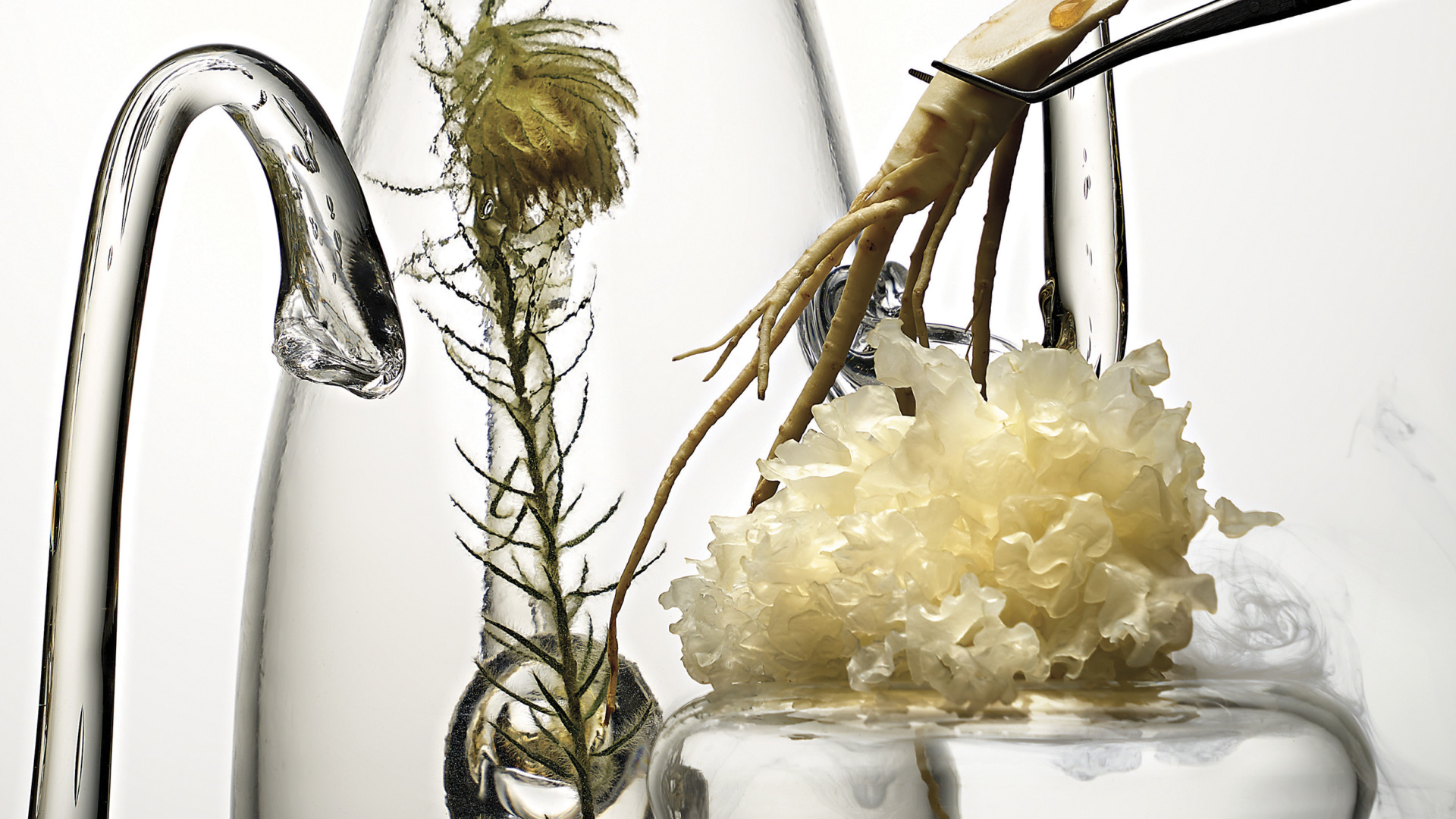 암호 같은 화장품 성분의 모든 것, 이것만 보면 됩니다 - 뉴스 썸네일 이미지